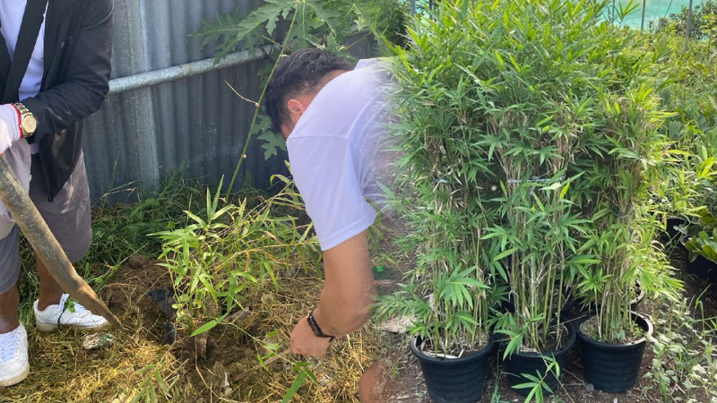 Supporting the Bamboo Month Celebration in Mandaue